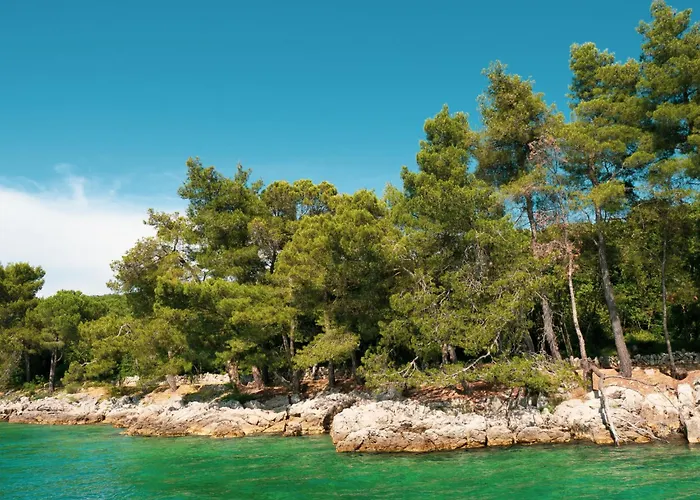 Vera-1 By Interhome 아파트 말린스카